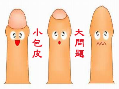 包皮过长易损害肾脏功能 包皮过长易损害肾脏功能